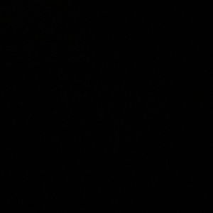 Meet your Posher, Alaa